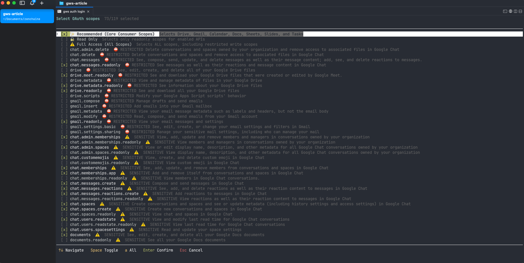 OAuth スコープ選択。Recommended を選ぶと主要サービスの権限がまとめて付与される