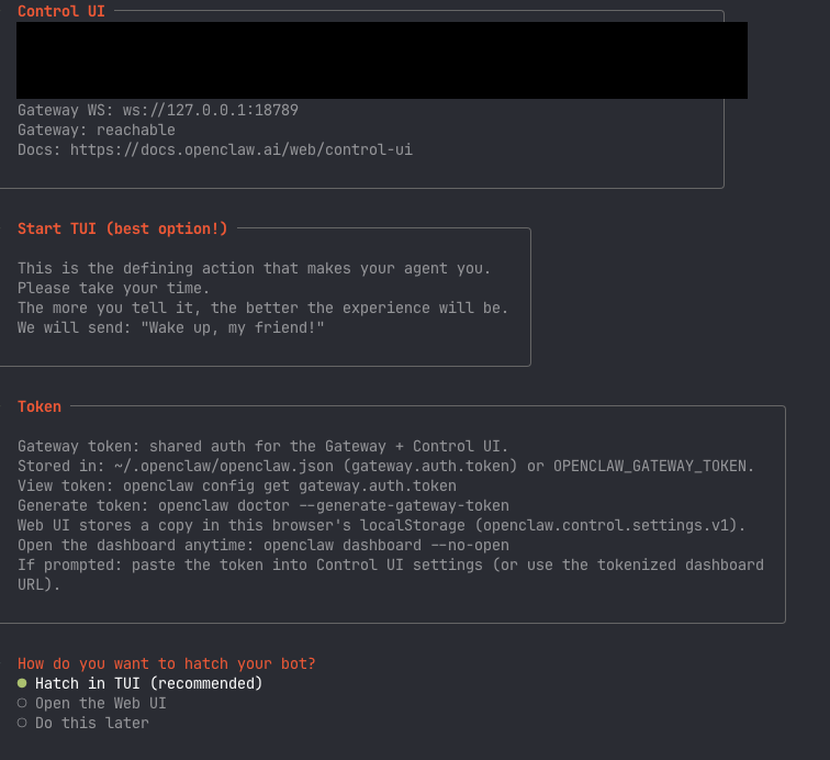 オンボーディング完了画面 — Control UI のアクセス情報が表示される